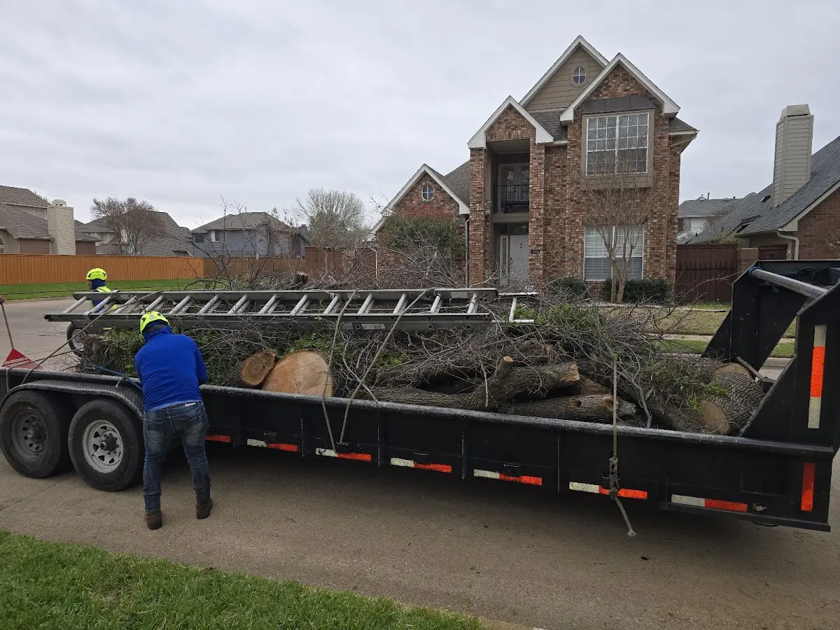 Expert Lot Clearing with proper safety equipment in Levittown